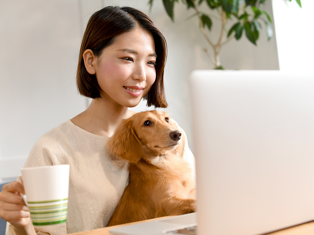 オンライン相談