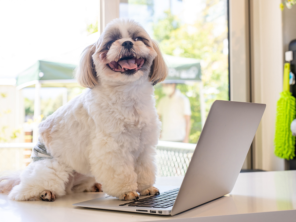 オンライン相談