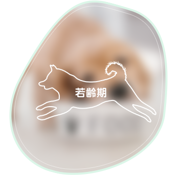 健康なからだづくり