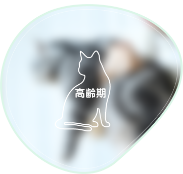 ターミナルケア