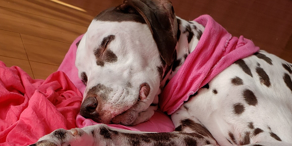 心理カウンセリング・セッション