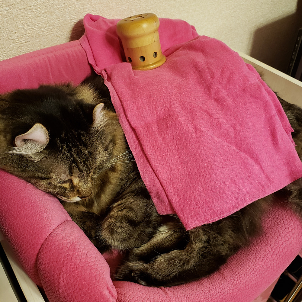 飼い主様の声